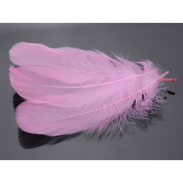 Pióra naturalne barwione koloru jasno różowego 10-16cm