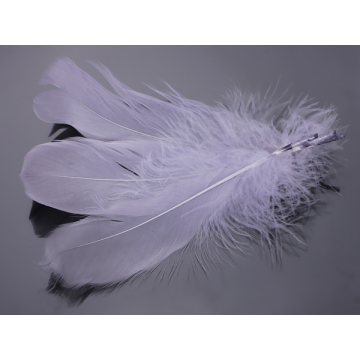 Pióra naturalne barwione koloru szarego 10-16cm