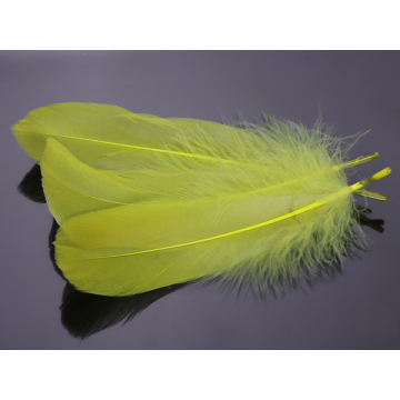 Pióra naturalne barwione koloru cytrynowego 10-16cm
