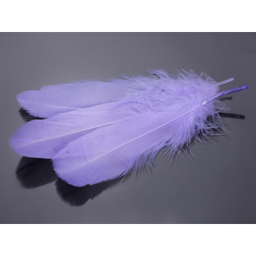 Pióra naturalne barwione koloru lawendowego 10-16cm