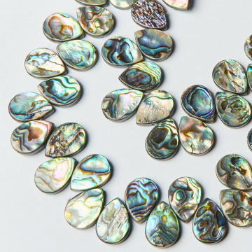 Muszla paua łezka 13x18mm