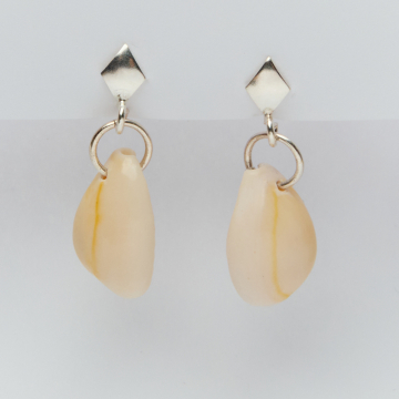 Kolczyki z muszlą kauri na srebrnych sztyftach