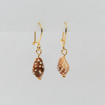 Kolczyki z podłużną muszlą