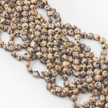 Jaspis dalmatyński dysk fasetowany 8mm