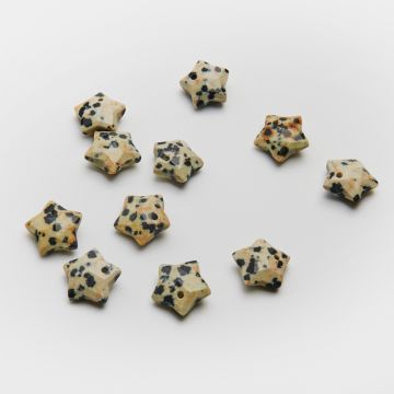 Jaspis dalmatyńczyk gwiazdka fasetowana zawieszka 12mm