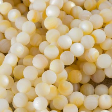 Masa perłowa kulka gładka opalizująca matowa kremowa 8mm