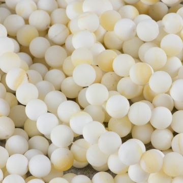 Masa perłowa kulka gładka matowa krem bananowy 8mm
