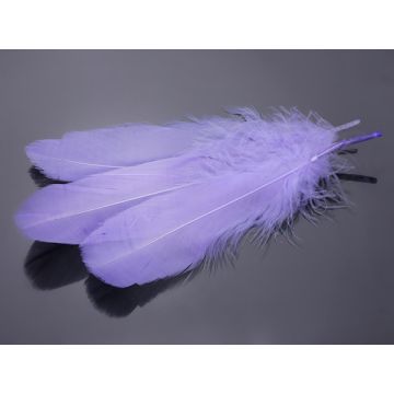 Pióra naturalne barwione koloru lawendowego 10-16cm