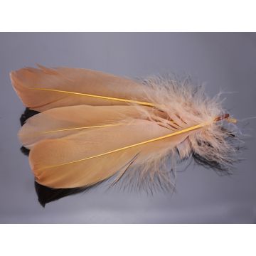 Pióra naturalne barwione koloru beżowego 10-16cm