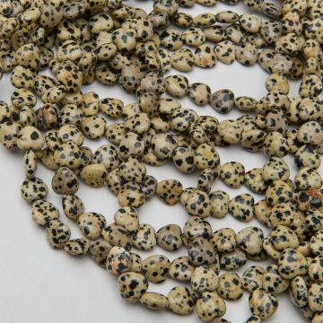 Jaspis dalmatyńczyk serce gładkie 10,5mm