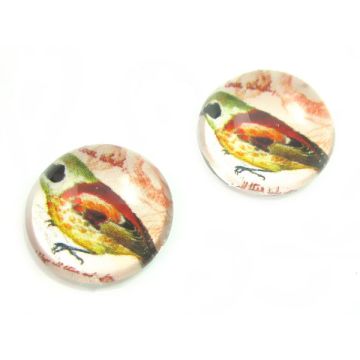 Kaboszon szklany okrągły ptaszek 20mm