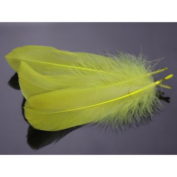 Pióra naturalne barwione koloru cytrynowego 10-16cm