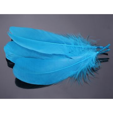 Pióra naturalne barwione koloru morskiego 10-16cm