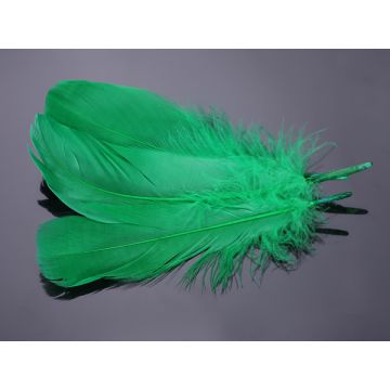 Pióra naturalne barwione koloru zielonego 10-16cm
