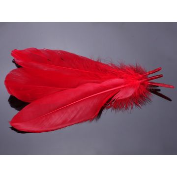 Pióra naturalne barwione koloru czerwonego 10-16cm