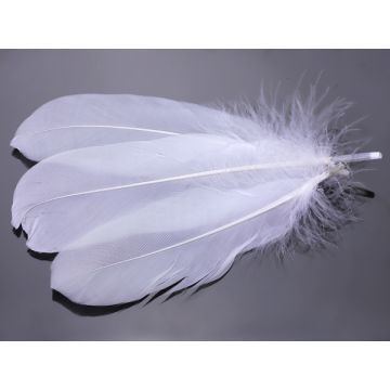 Pióra naturalne barwione koloru białego 10-16cm